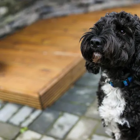 Апартаменты Fair Rigg By Cradel Haus - Ultra Luxury Lakes Homes, Pet Friendly, Parking & Ev Plug *